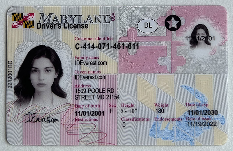 Maryland Fake ID